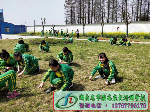 爸爸，其實你的心情女兒懂