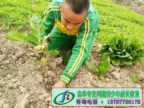 孩子為(wèi)什麽不懂得心疼你？志(zhì)華叛逆孩子學(xué)校建議爸媽都看看